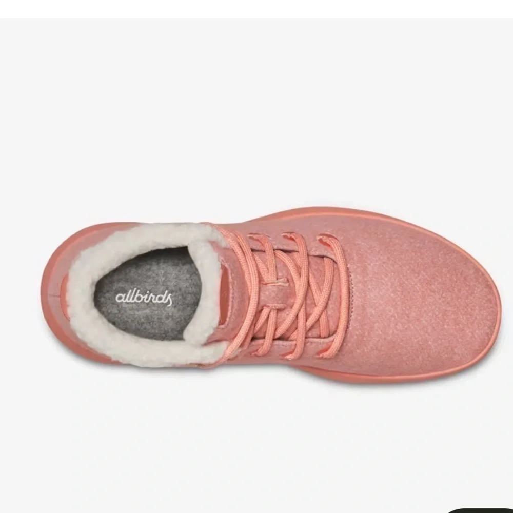allbirds our wet
